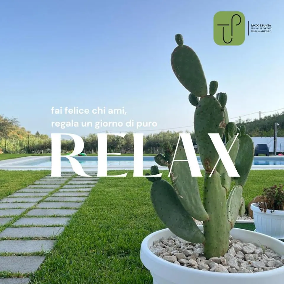 Tacco E Punta Bed&Breakfast Grisi Bed & Breakfast