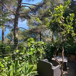 https://guest-house-berzefi.hotelitalianriviera.com