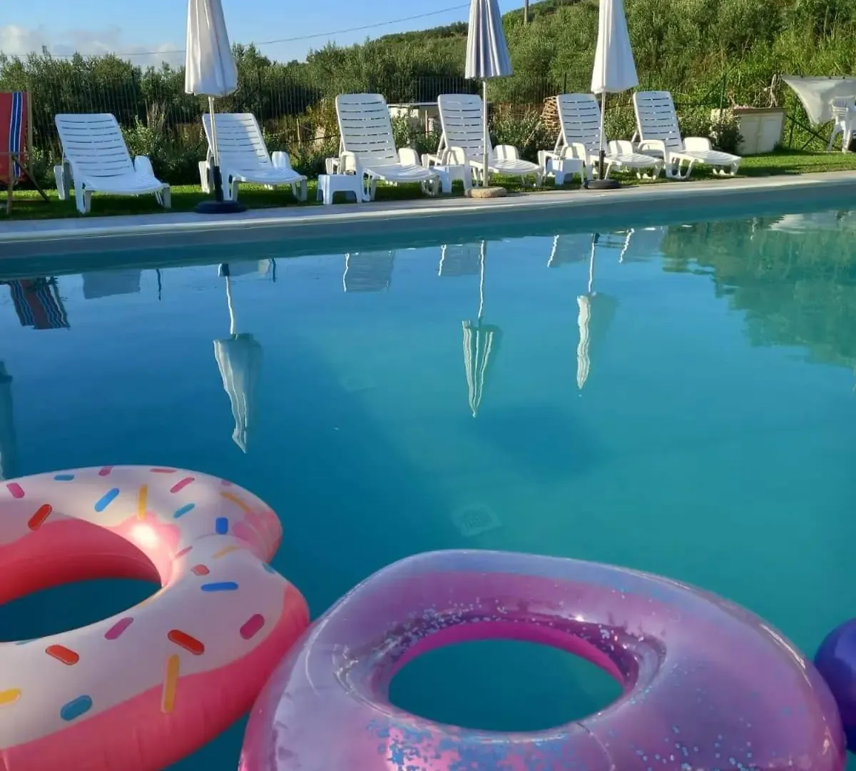 Tacco E Punta Bed&Breakfast Grisi Italy